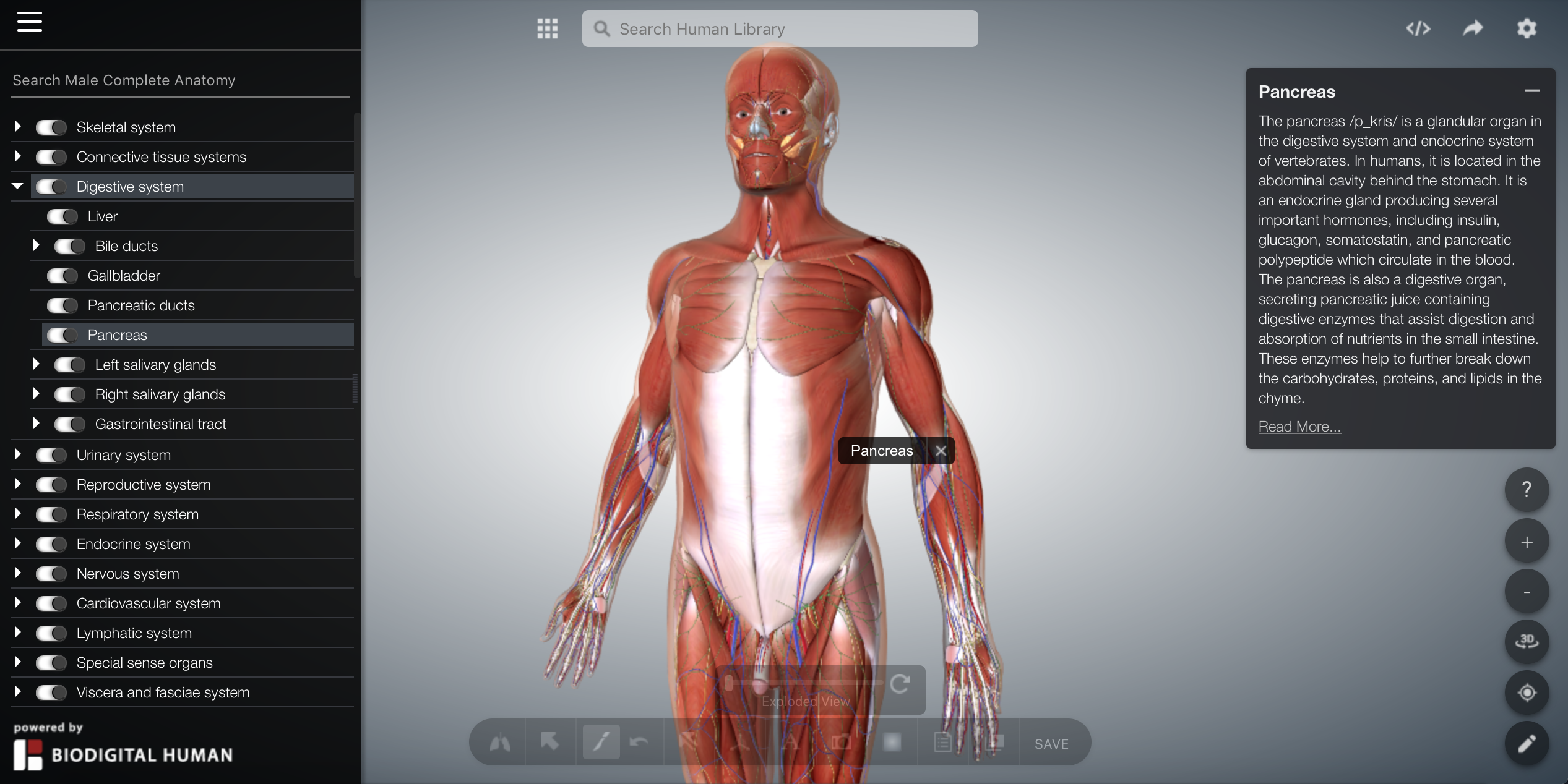 TechMed: Atlanti di anatomia 3D gratuiti - Axada Catania